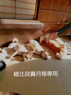 緒比良貴月様専用のサムネイル