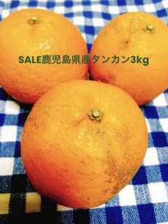SALE鹿児島県産タンカン3kg②のサムネイル