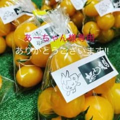 あーちゃん様専用ですのサムネイル