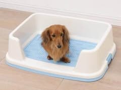専用    他の方のご購入はご遠慮ください。のサムネイル