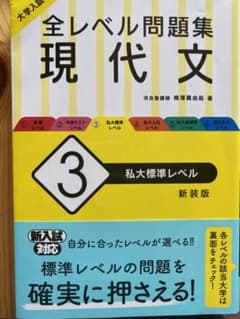 大学入試 全レベル問題集 現代文 3 私大標準レベルのサムネイル
