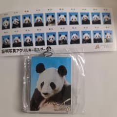アドベンチャーワールド パンダ 証明写真アクリルキーホルダー 雄浜のサムネイル