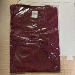 Printstar バーガンディ Tシャツ 130のサムネイル
