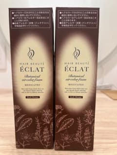ヘアボーテ エクラ ボタニカル エアカラーフォーム ダークブラウン x2本組のサムネイル