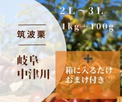④最終価格！！おまけ入れます！！栗　岐阜県中津川産　筑波　1kg＋約100gのサムネイル