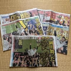 阪神タイガース 優勝記念 新聞セット 2023年9月15日のサムネイル