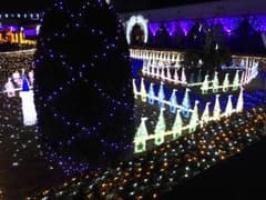白くまさん専用のサムネイル