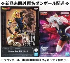 HUNTER × HUNTER 네펠 피토 드래곤 볼 Z 마인 베지터