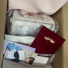 CELCEL セルセル 山中柔太朗 バッグ ピンクベージュ SMALLのサムネイル