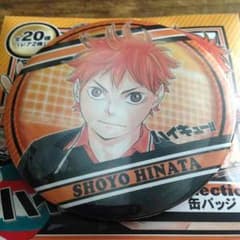 日向 翔陽のサムネイル