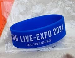 EXPO カプセル シリコンブレスのサムネイル