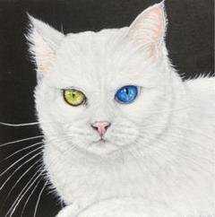 ひよこと猫ちゃん　アクリル画直筆 ひよこと猫ちゃん アクリル画直筆 ひよこと猫ちゃん アクリル画直筆