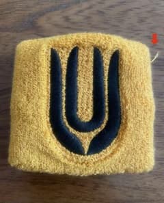 UNISON SQUARE GARDEN リストバンドのサムネイル