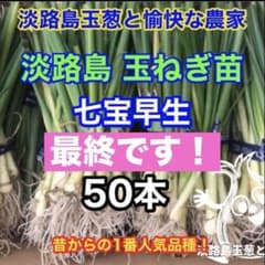 最終です！＞淡路島 玉ねぎ苗 七宝早生 50本 たまねぎ苗 玉葱苗 - メルカリ