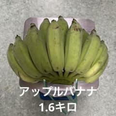 アップルバナナ　島バナナのサムネイル