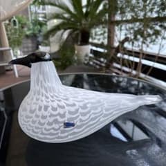 OIVA TOIKKA Bird Species of Tern 02美品 - メルカリ