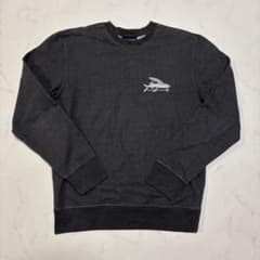 希少】パタゴニア スウェット フライングフィッシュ プルオーバー L 