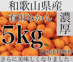和歌山県産　有田みかん　【5kg】家庭用mixサイズのサムネイル