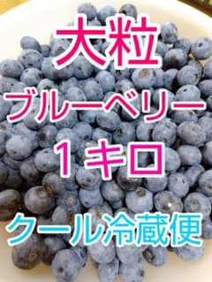 大粒 ブルーベリー 大粒１キロ クール(冷蔵)便 発送のサムネイル