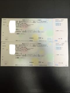 東京コミコン2025 入場券 2枚セットのサムネイル