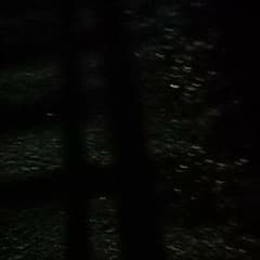 たか様専用のサムネイル