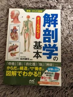 看護学生必須！解剖学の基本のサムネイル
