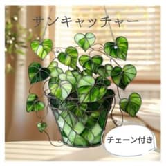 あっちゃん様　おまとめ3点のサムネイル