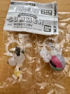 PEANUTS めじるしアクセサリー SUMMER 2種セットのサムネイル