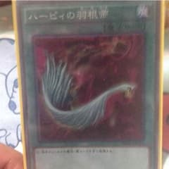ハーピィの羽根箒のサムネイル