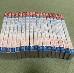 僕等がいた 全巻＋ファンブックのサムネイル