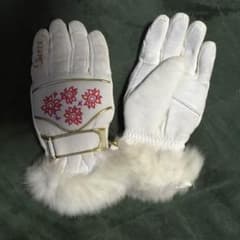 nns様専用shasseスキー用グローブのサムネイル