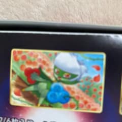 カヤア様専用のサムネイル