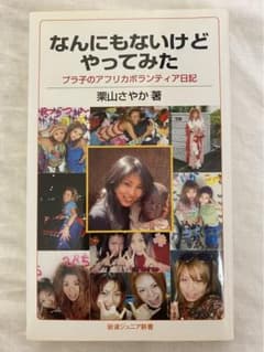 なんにもないけどやってみた プラ子のアフリカボランティア日記のサムネイル