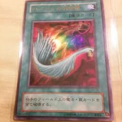 ハーピィの羽根箒のサムネイル