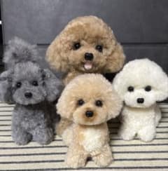 動物ぽんぽん　marie様専用のサムネイル