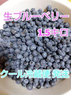 yoshiko205様 専用 ブルーベリー 2キロ クール(冷蔵)便 発送のサムネイル