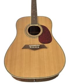 アコースティックギター Elioth revolution - メルカリ