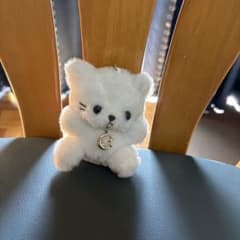 猫 ぬいぐるみ マスコット ホワイトのサムネイル