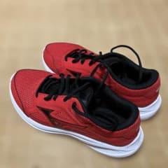 ミズノマキシマイザー25.5のサムネイル