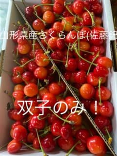 山形県産さくらんぼ (佐藤錦) 双子のみのサムネイル