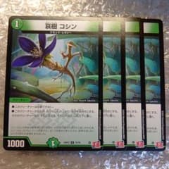 720　哀樹コシン　　4枚　C