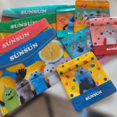 パペットスンスン オリジナルフラットケース。ジップケースのサムネイル