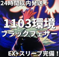 1103環境ゲートボール】BF ブラックフェザー 本格構築済みデッキ