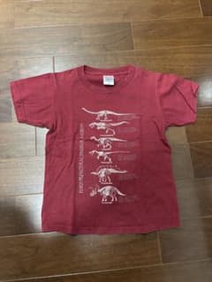 福井県立恐竜博物館 Tシャツ 130cm ボルドーのサムネイル