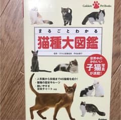 sacra様専用のサムネイル