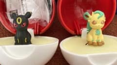 ポケモンリングのサムネイル