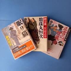 藤井邦夫   時代小説文庫本  3冊★眠り猫、正雪の埋蔵金、数珠丸恒次のサムネイル