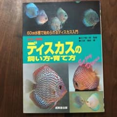 ディスカスの飼い方・育て方 : 60cm水槽で始められるディスカス入門のサムネイル