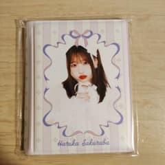 PiKi 스키쿠지 B상 벚꽃뜰 하루카 체키 파일 A ①