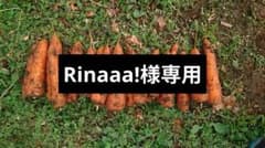 Rinaaa!様専用のサムネイル